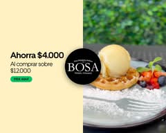 HELADOS BOSA (Santiago)