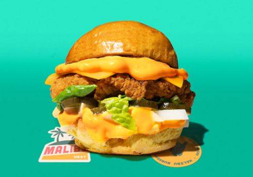 🍗 Fried Chicken Burger