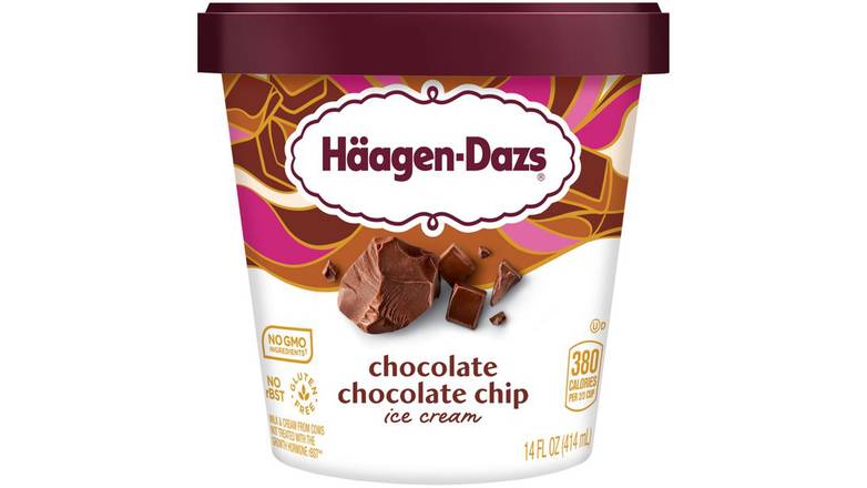 HAAGEN-DAZS Ice Cream, Chocolate Chocolate Chip
