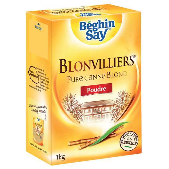 Beghin Say Blonvilliers - Sucre en poudre 1 kg