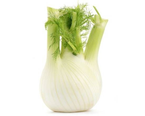 Anisfenouil (Gr 24) - Fennel