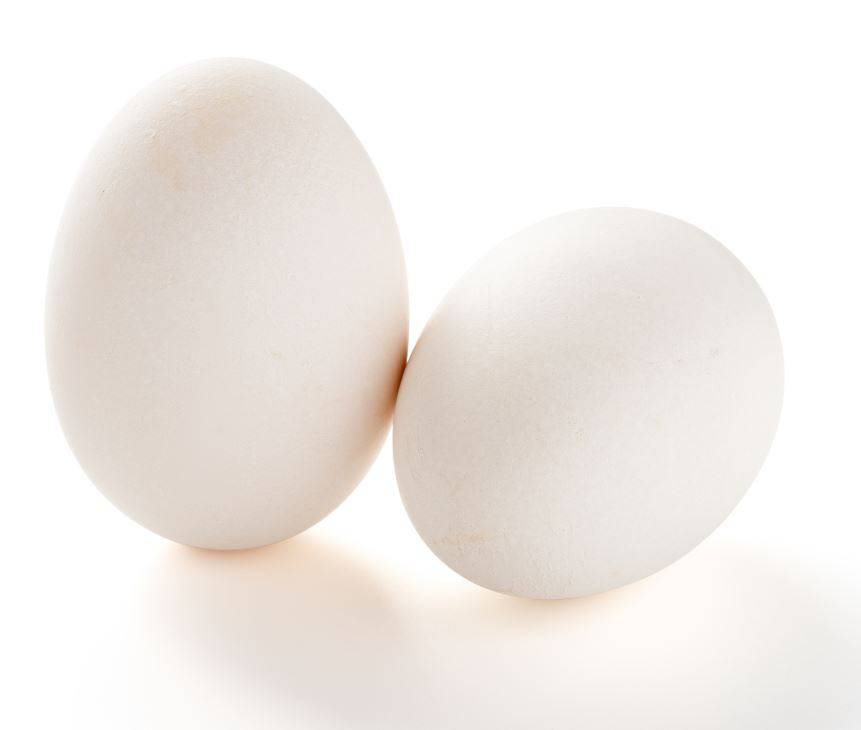 James Farm - Small Loose White AA Eggs - 15 Dozen (1 Unit per Case)
