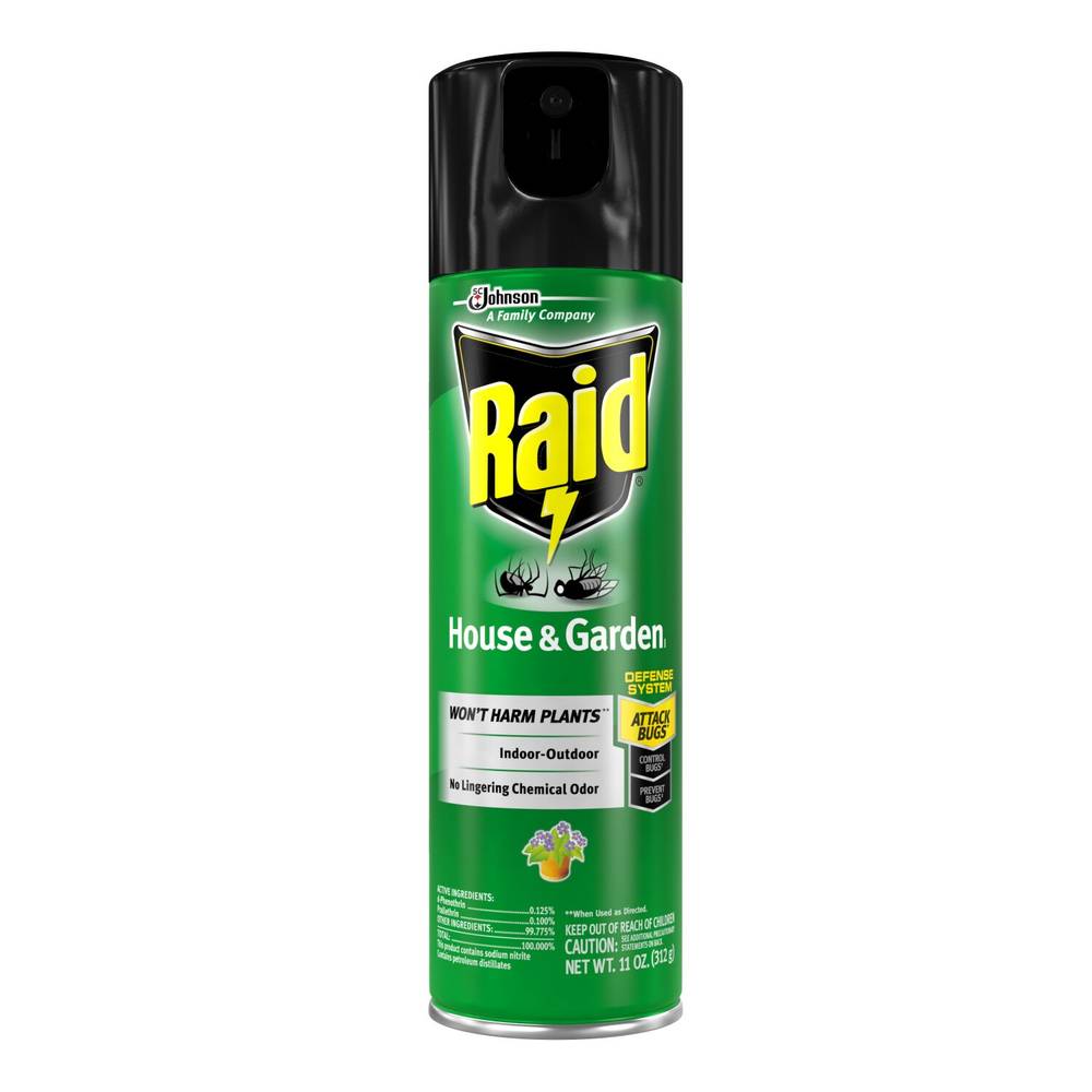 Raid House & Garden I Bug Killer Spray, Indoor/Outdoor, 11 Oz