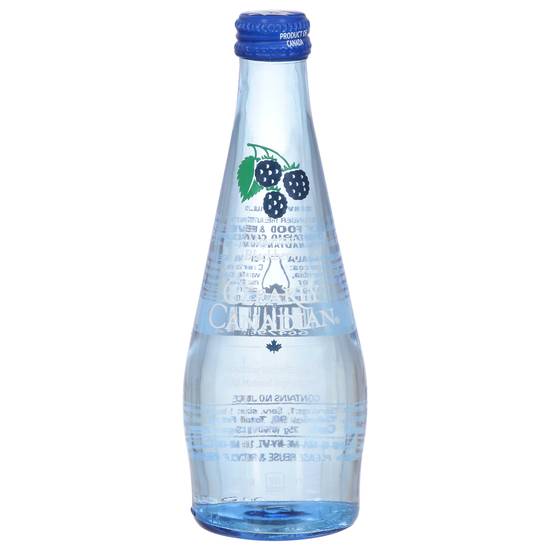 Clearly Canadian Mountain Blackberry Sparkling Water Beverage (325 ml)
