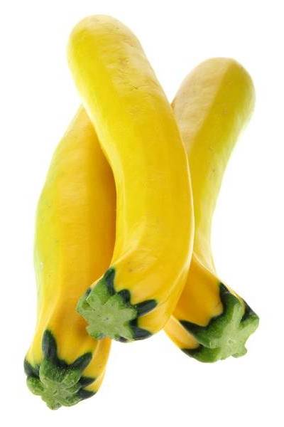 Yellow Squash