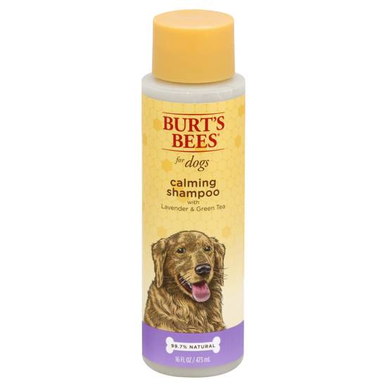 Burt's Bees Lavender & Green Calming Tea Shampoo For Dogs