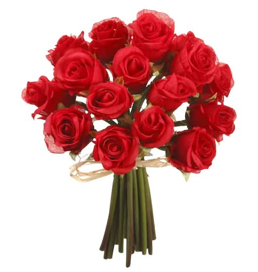 Ashland Rose Bundle, Red