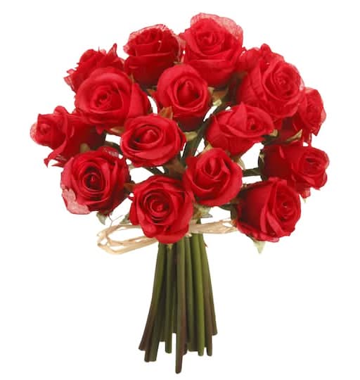 Ashland Rose Bundle, Red