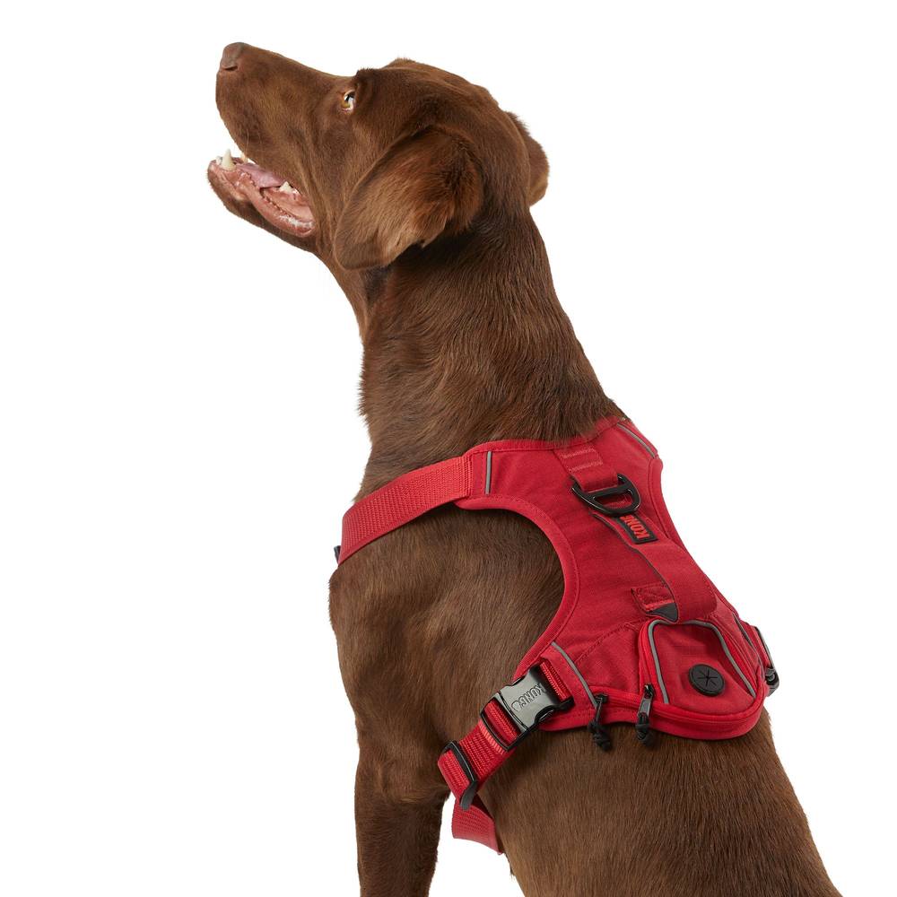 Kong Reflective Waste Bag Dog Harness (xl/red)