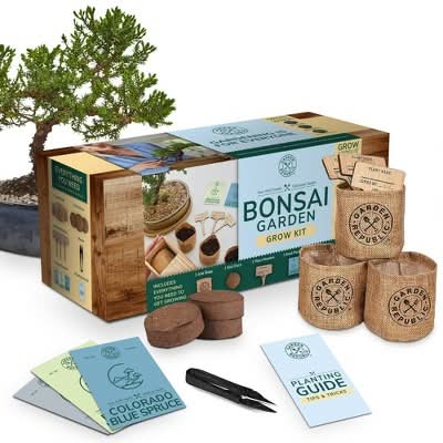 Garden Republic Bonsai Garden Grow Kit