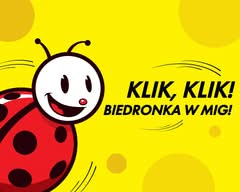 Biedronka (Domaniewska 26)