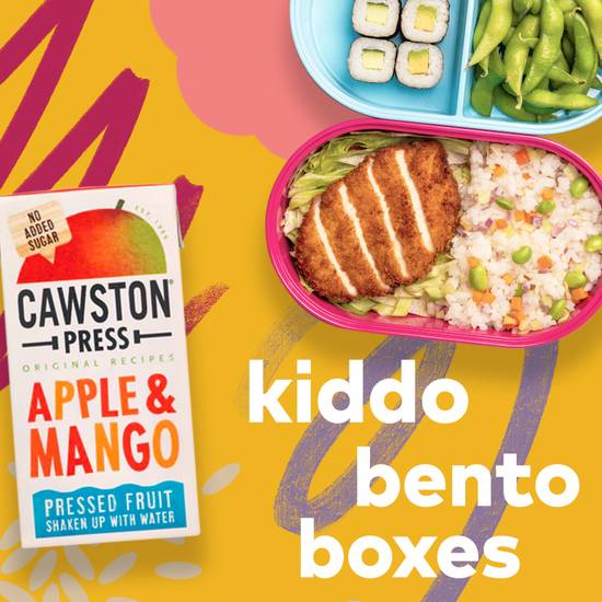 kiddo bento box