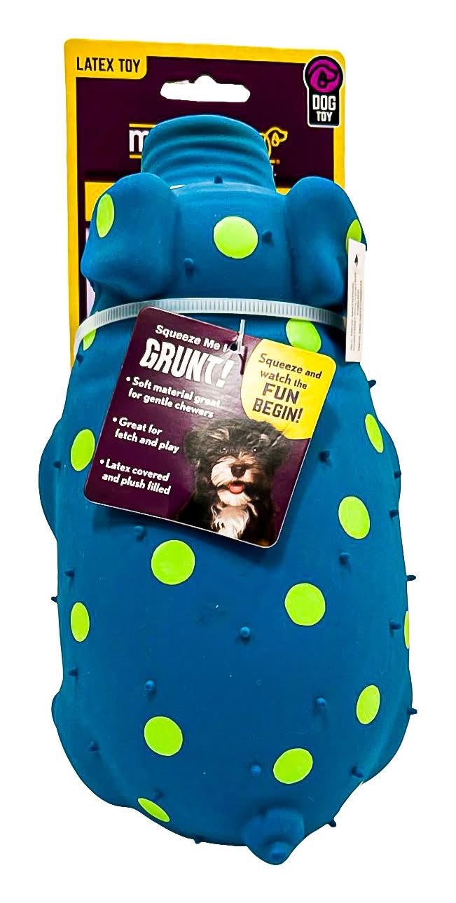 Multipet Latex Polka Dot Pig Dog Toy, 9 in, Blue