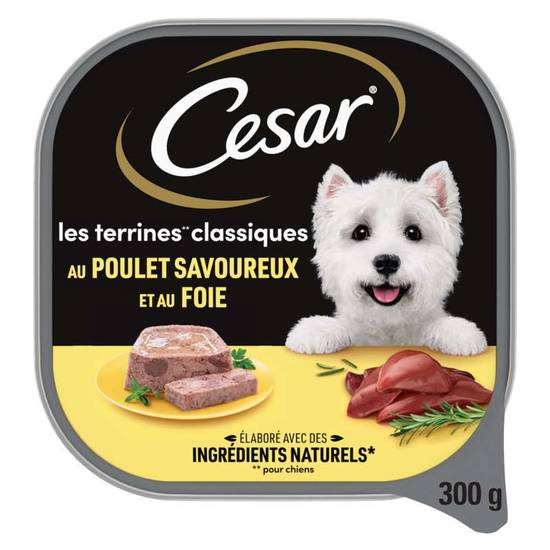 Les Terrines au Poulet Savoureux & au Foie 300g Cesar