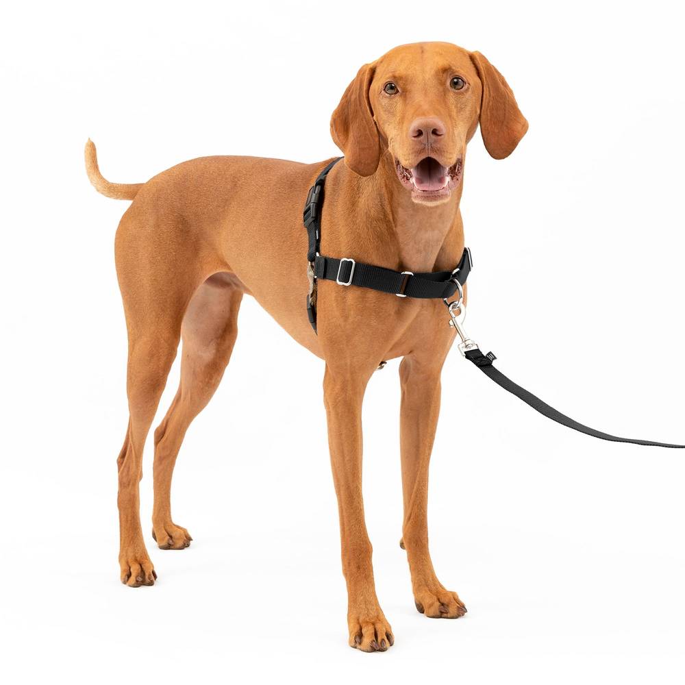 Petsafe Easy Walk No Pull Dog Harness (medium/black)