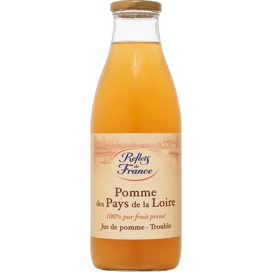 Reflets de France - Jus trouble pays de loire, pomme (1L)