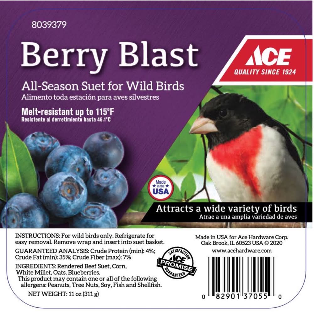 ACE Berry Blast Suet 11 Oz
