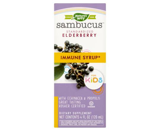 Nature's Way Original Sambucus For Kids Elderberry Syrup (4 fl oz)