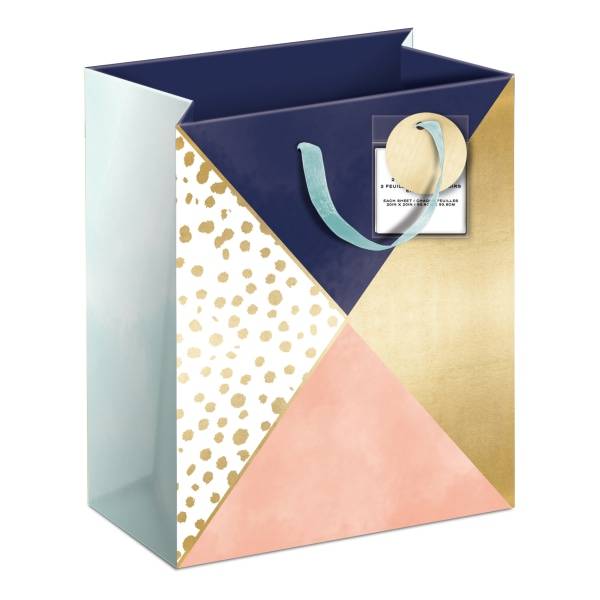 Amscan Lady Jayne Gift Bag With Tissue Paper and Hang Tag, Smalll, Navy and Coral Color Block