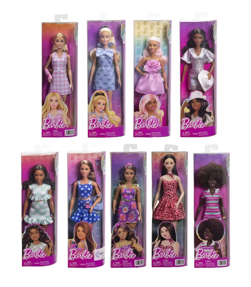 Barbie Fashionistas Doll Assortment