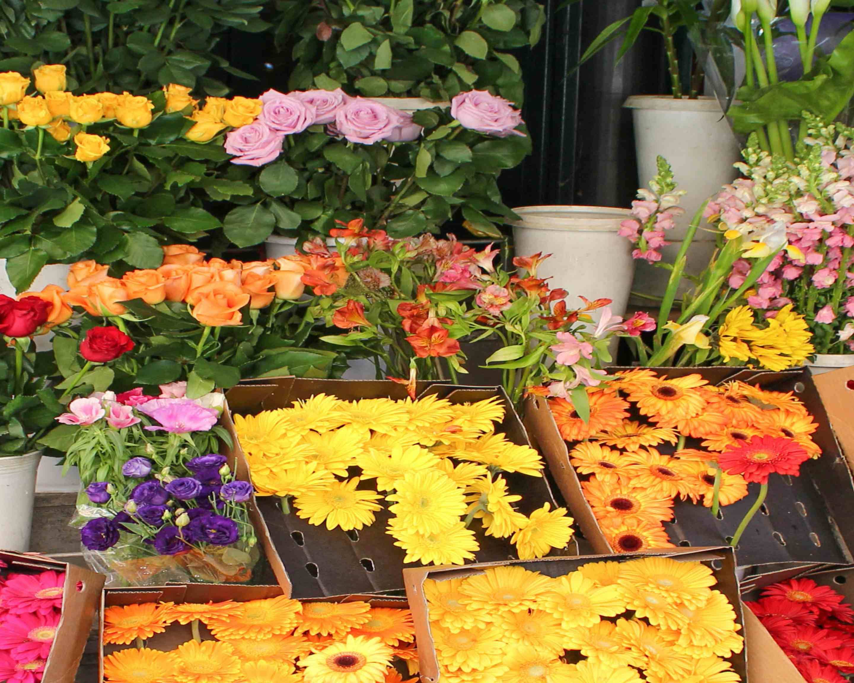 Order Wynn's Plants & Flowers Delivery【Menu & Prices】 Vancouver Uber