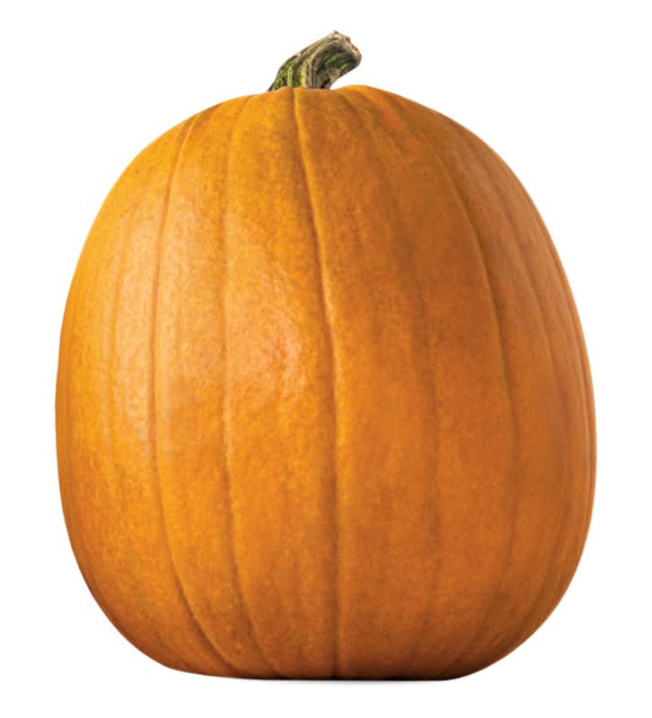 Pumpkin