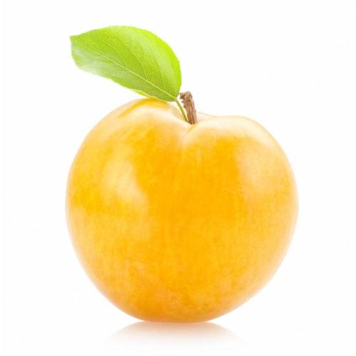 Large Golden Plum (1 plum)