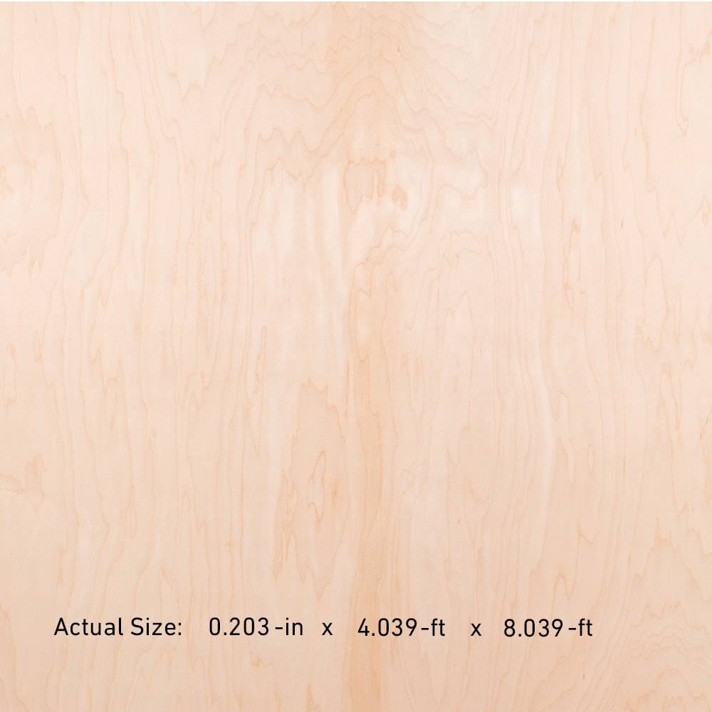1/4-in x 4-ft x 8-ft Maple Sanded Plywood | 712807
