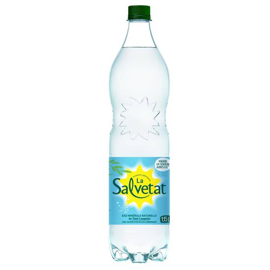 Salvetat - Eau pétillante minérale naturelle (1.15 L)