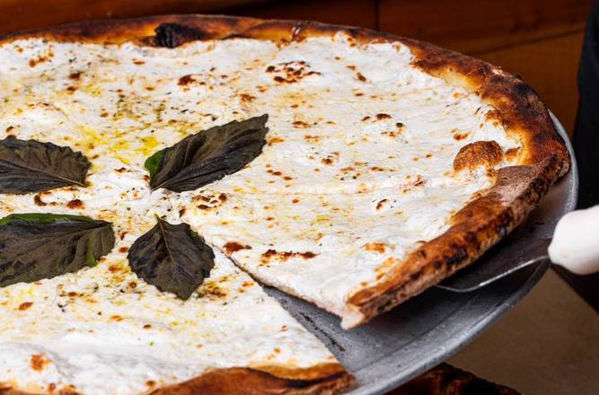 Angelo's Coal Oven Pizzeria photo 2