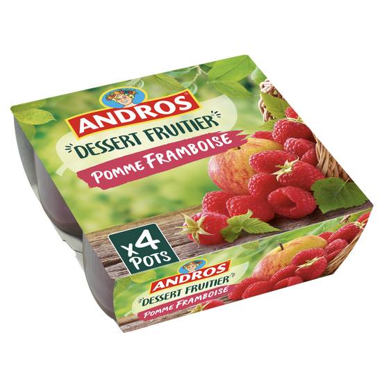 Andros - Compote pomme framboise (4 pièces)