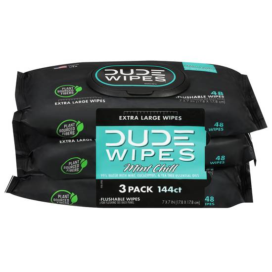 Dude Mint Chill Flushable Extra Large Wipes (3 ct)