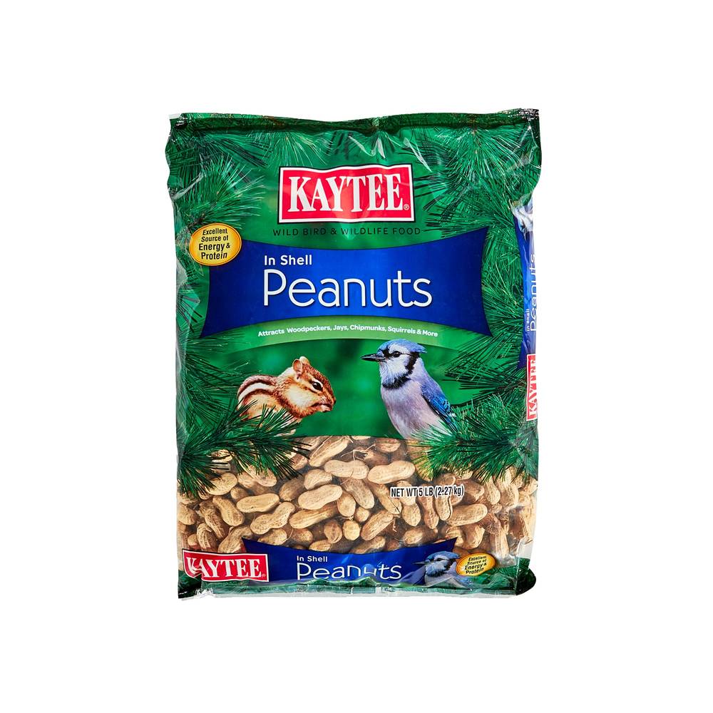 Kaytee Whole Shell Peanuts Wild Bird Food (2267.96 g)