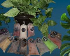 Bolis Gourmet Bebechino