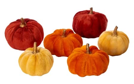 6-Count Mini Pumpkins Orange