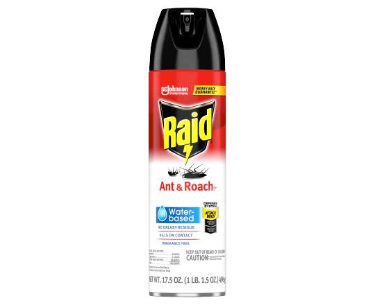 Raid Sc Johnson Ant & Roach Indoor Bug Spray (17.5 oz)