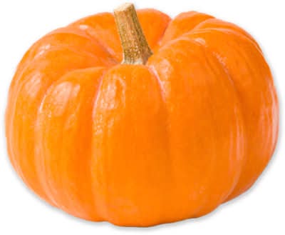 Mini Orange Pumpkin - Each