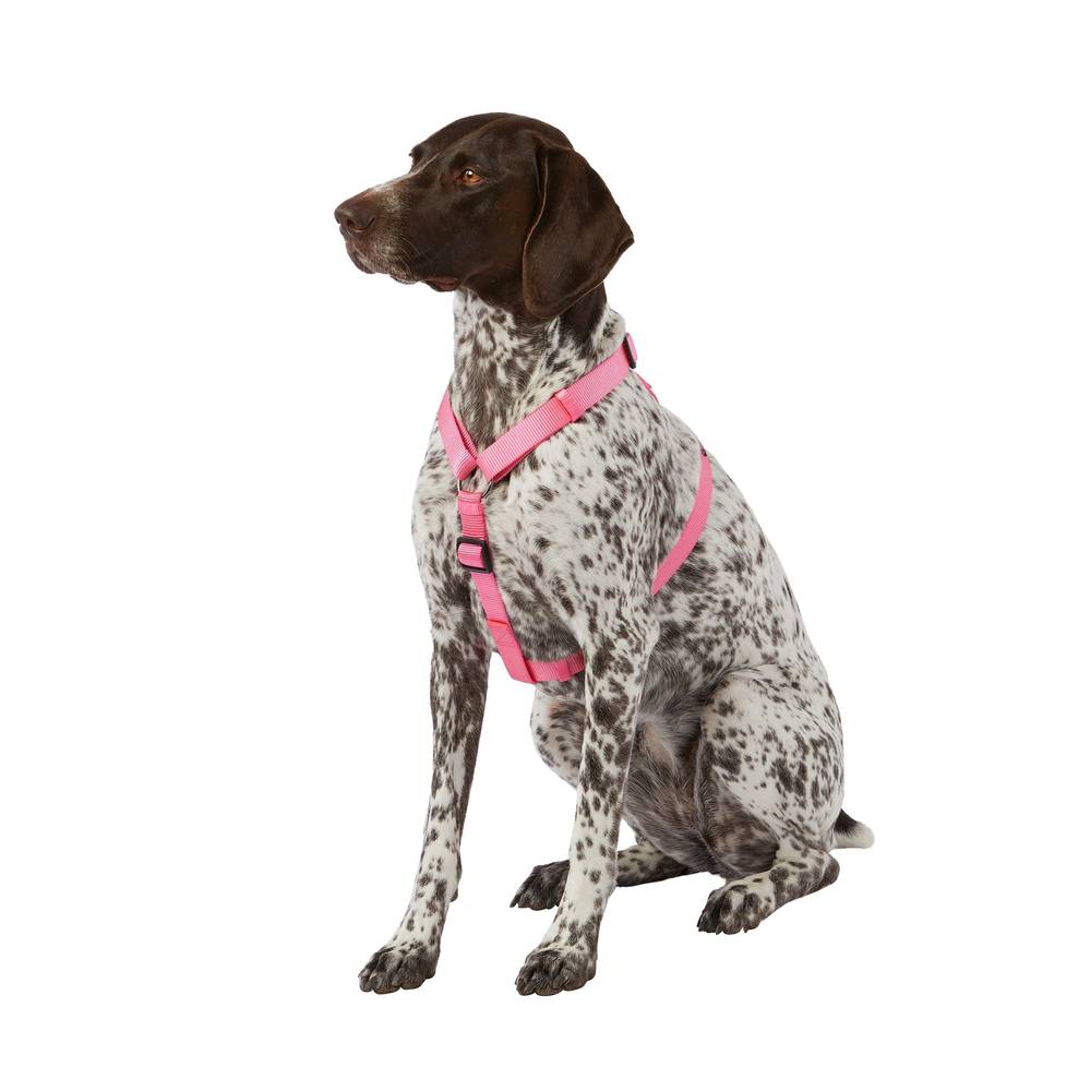 Top Paw Gunmetal Adjustable Dog Harness, Large, Pink