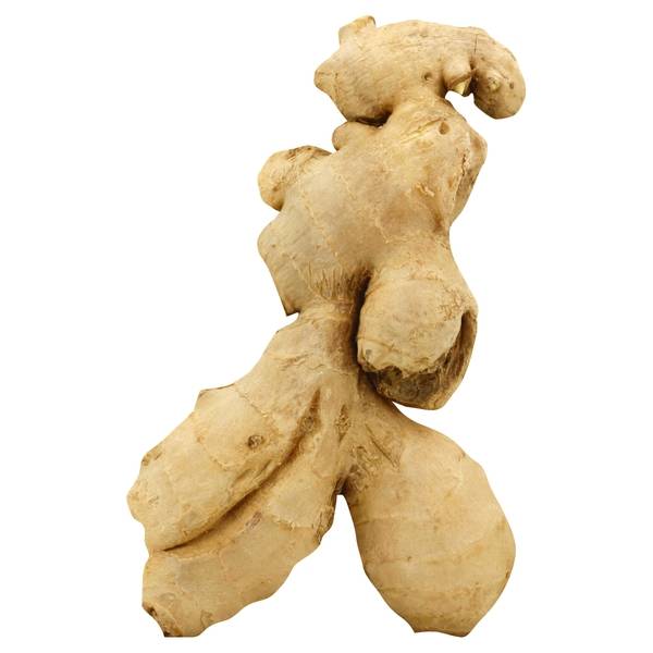 Ginger Root