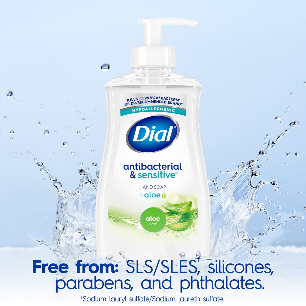 Dial Complete Antibacterial Aloe Liquid Hand Soap (11 fl oz)