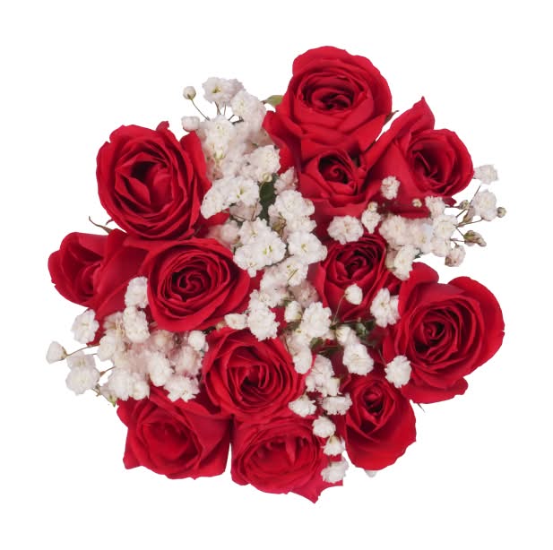 Bloom Haus Hot Pink Spray Rose Fresh Flower Bouquet