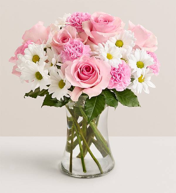 Daisy and Rose Delight - Large