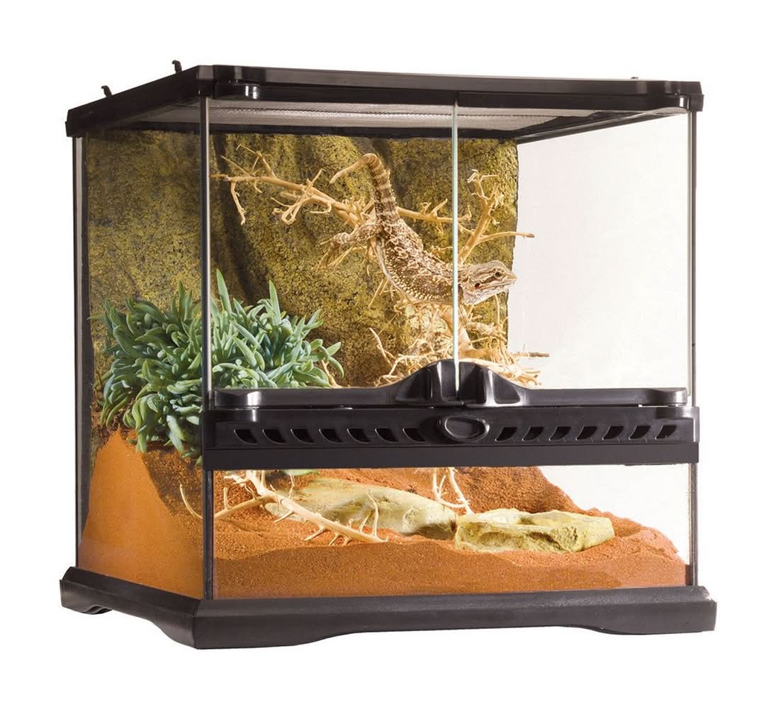 Exo Terra Mini Wide Terrarium, 12 in