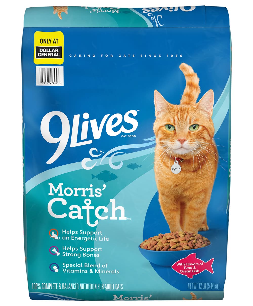 9Lives Morris Catch Dry Cat Food, Tuna & Ocean Fish, Adult (12 lbs)