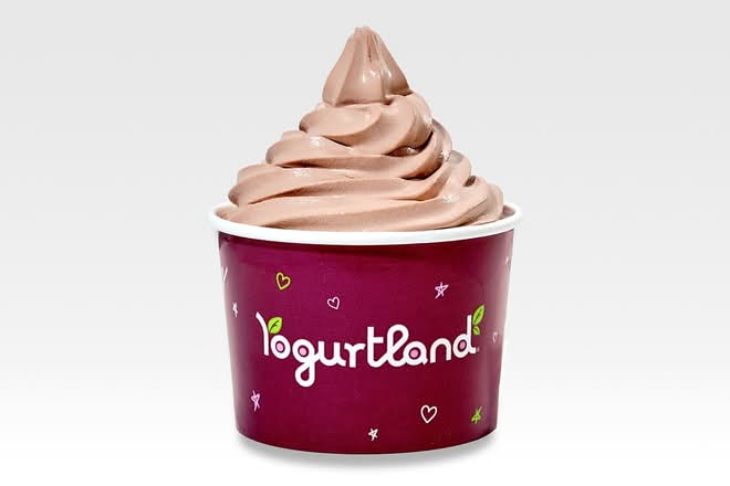 Rich Chocolate Ice Cream