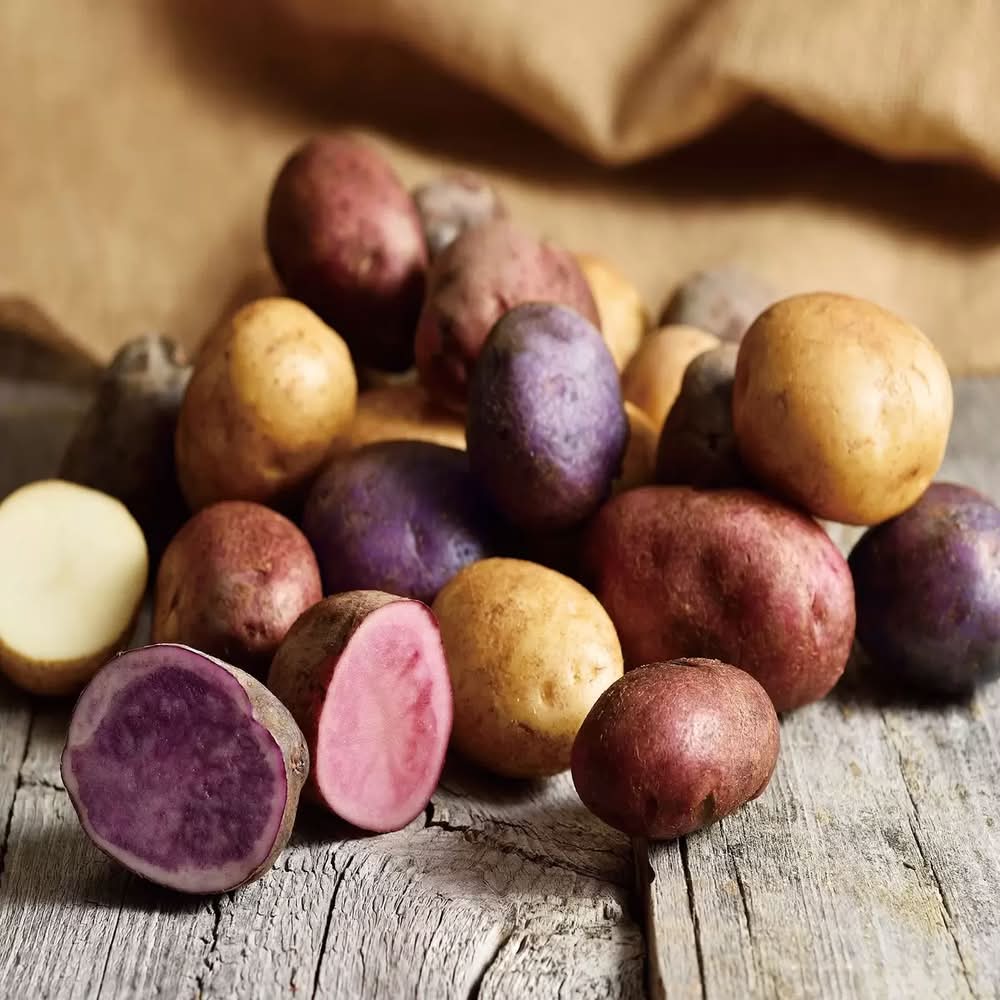 グルメポテト 1.8ｋｇ