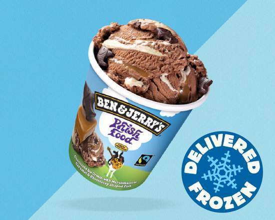 Ben & Jerry's Phish Food Ice Cream 465 ml