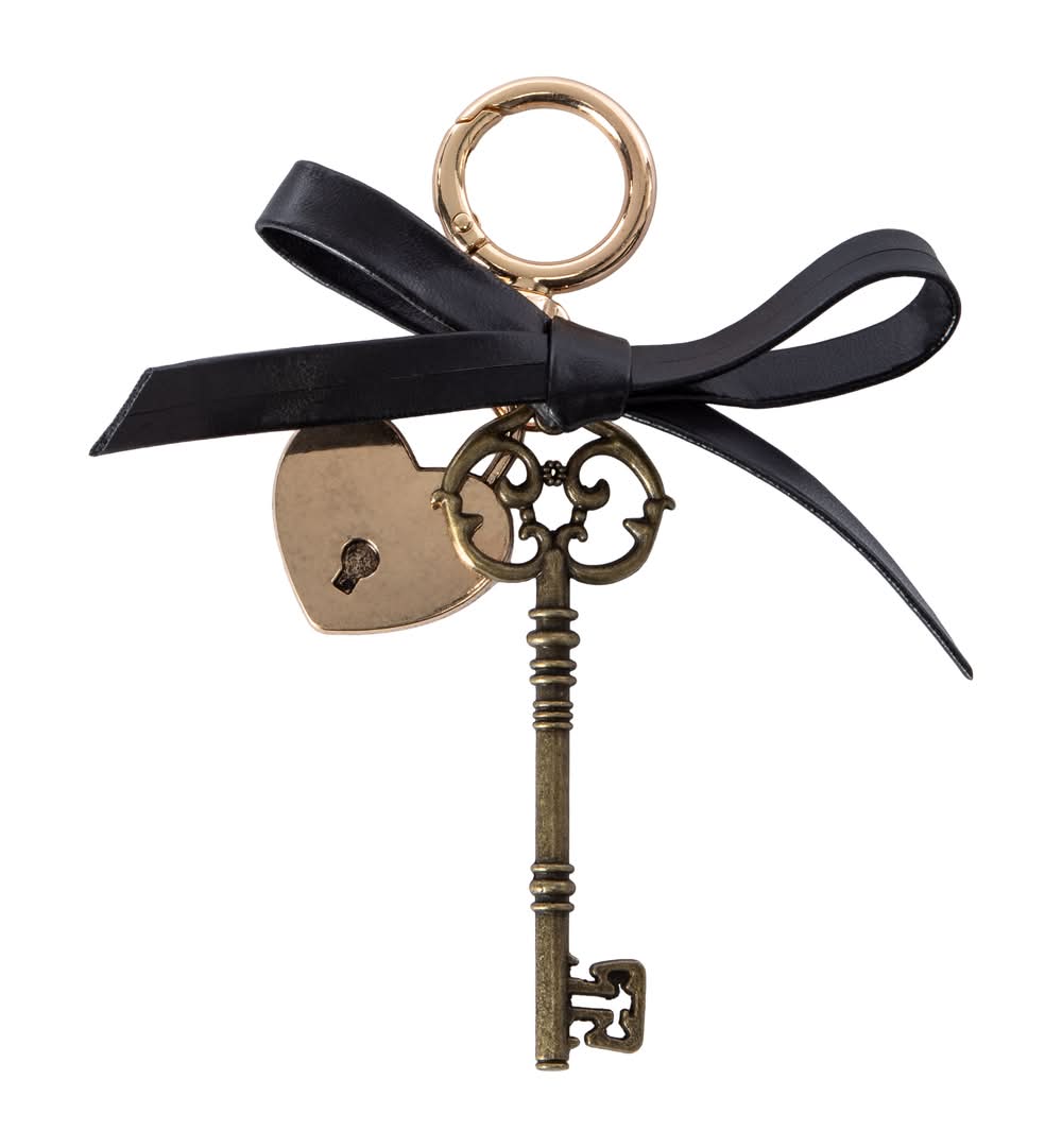 Novelty Keychain Black Key