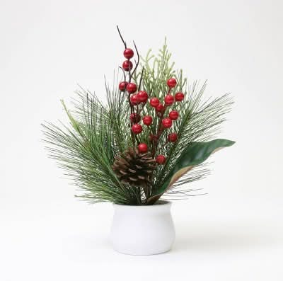 Bullseye's Playground Potted Tree Mixed Greens