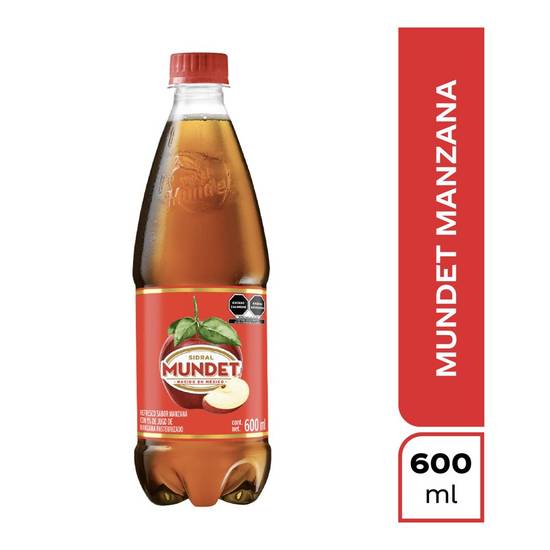 Sidral mundet refresco sabor manzana (botella 600 ml)